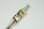 DINTEK ezi-PLUG RJ45 (1501-88060)