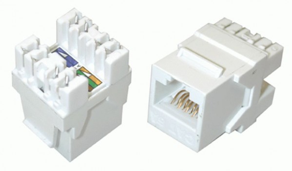 DINTEK PowerMAX+ Cat