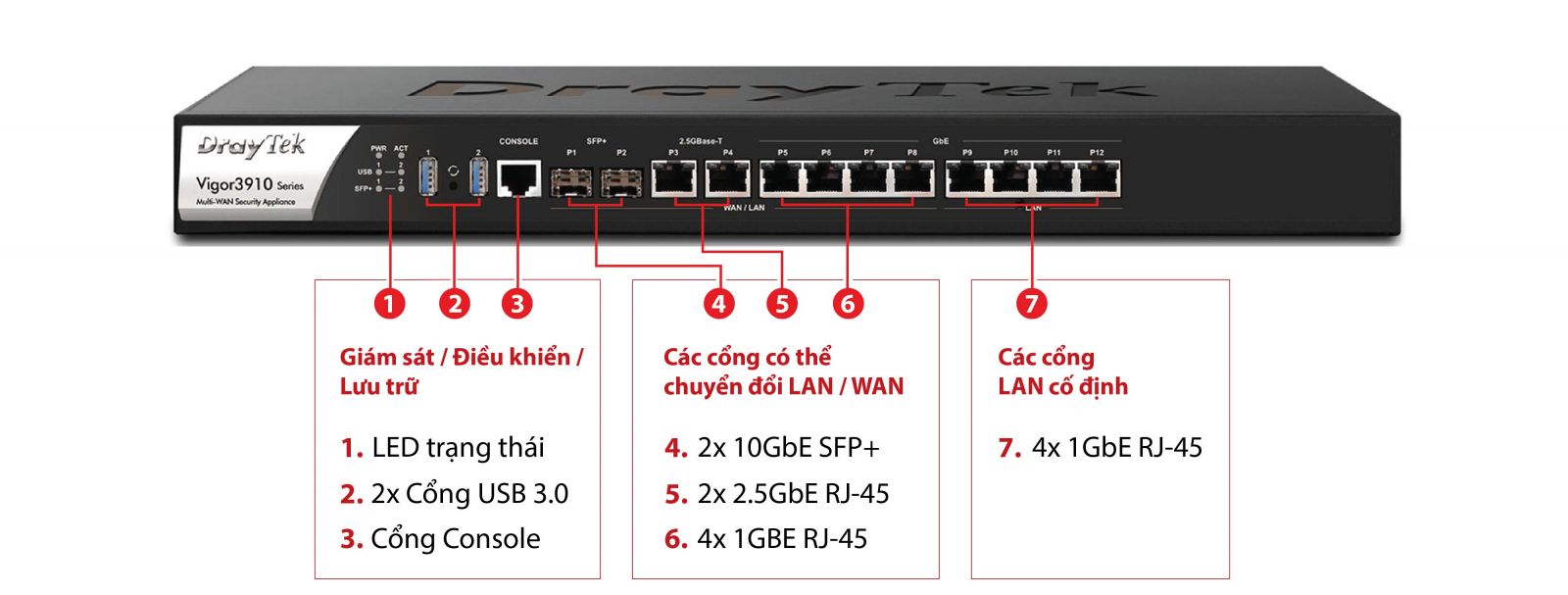 Vigor3910 (V3910)