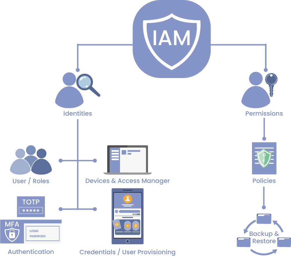Vigor2928 Identity and Access Management (IAM)